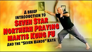 INTRODUCTION TO SEVEN STAR NORTHERN PRAYING MANTIS KUNG  SEVEN HANDS KATA QI SHOU [upl. by Honora]