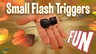 Worlds Smallest Flash Triggers for Photography travel fun off camera flash [upl. by Ardnusal896]