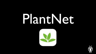 TUTO PLANTNET [upl. by Araem]