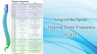 Song of the Spine  Healing Spine Frequency A432 [upl. by Ruskin]