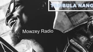 Radio amp Weasel  Tambula Nange  Audio [upl. by Farrell]