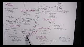 MEJOR EXPLICACIÓN COLELITIASIS COLECISTITIS COLEDOCOLITIASIS COLANGITIS [upl. by Anatolio]