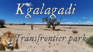 Kgalagadi Transfrontier Park [upl. by Lifton256]