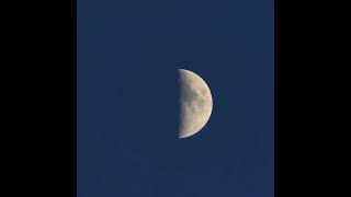 Moon and Antares September 9 and 10 2024 [upl. by Wakefield]