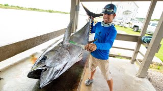 Yellowfin Tuna Wahoo Cobia amp Dolphin Fish  Clean N Cook [upl. by Eldnik]