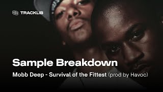 Sample Breakdown Mobb Deep  Survival of the Fittest [upl. by Wheelwright]