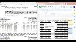 PACE PROGRESSION Incorporating Brisnet Pace numbers [upl. by Ardys]