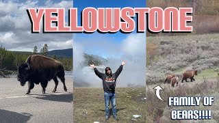 A week in Yellowstone in 11 minutes and 24 seconds [upl. by Sedlik]