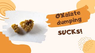 Oxalate Dumping  How to tell the difference between dumping and everything else [upl. by Phene]