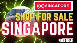 SHOP FOR SALE AT SINGAPORE  INVEST IN SINGAPORE [upl. by Einnek68]