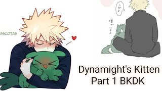 Dynamights kitten Bkdk Texting Story Part 1  Neko Deku AU [upl. by Chiang]