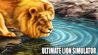 ULTIMATE LION SIMULATOR Gameplay Android [upl. by Malloy]