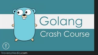 Go  Golang Crash Course [upl. by Ayres22]