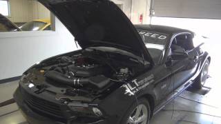 2011 Mustang Vortech Supercharger Package with JLT Intake 50L Coyote at Brenspeed [upl. by Ozzy]