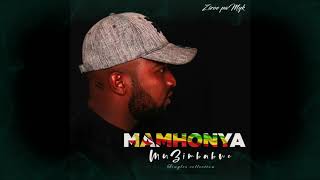 Zizoe  Mamonya muZimbabwe Official Audio [upl. by Sena635]