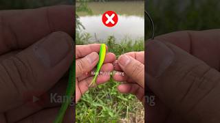 Diy fishing tackle how to set fishing bait soft lure fishing tutorial diy knot fishingknot [upl. by Adaurd]