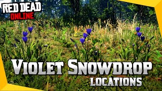 VIOLET SNOWDROP Locations Red Dead Online Daily Challenges [upl. by Bocock]