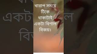 life relationship inspiration bangla motivation family love shorts [upl. by Eltsyrc]