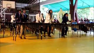 Watershed Senior Marimba Band [upl. by Eeuqram]