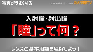 【写真がうまくなる】入射瞳、射出瞳 「瞳」って何？ レンズの基本用語を理解しよう！ [upl. by Anitsud]