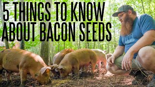 5 Things To Know About Raising Pigs [upl. by Enimaj]