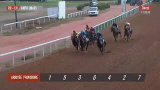 Live Hippodrome « CASABLANCA »  Courses du «30092024 » [upl. by Aynatan]