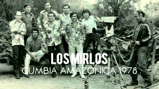 Los Mirlos  Cumbia Amazonica Vinyl 1978 [upl. by Ahsenet]