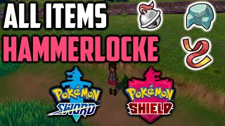 ALL Hidden Items in Hammerlocke City  Pokemon Sword amp Shield [upl. by Eenahc551]