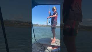 Fishing with yabbies fishing australia nsw yabbies whitening [upl. by Dlareme]