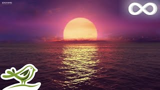 8 Hours of Relaxing Sleep Music Ocean Waves Relaxing Music Sleeping Music Calming Music ★146 [upl. by Notnarb902]