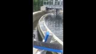 Weir Washer clarifier traveling bridge algae control water [upl. by Beetner]