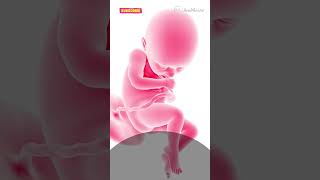 36 Weeks Pregnant Babys Almost Herepregnancy pregnant 36weekspregnant fetusdevelopment fetus [upl. by Darrill]