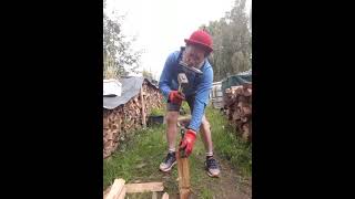 quot Wooden Heart quot  Harmonica Playing While Lumberjacking 20240615Take3  shortsvideo [upl. by Orv]