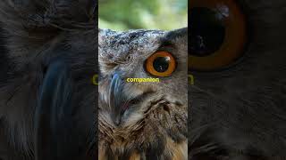 What Owls REALLY Mean Symbolism shorts owls symbolism [upl. by Naldo213]