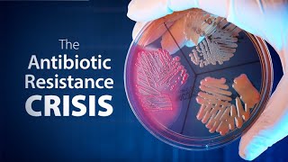 The Antibiotic Resistance Crisis  Exploring Ethics [upl. by Aynat440]