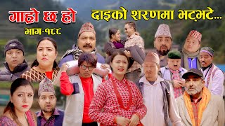 दाइको शरणमा भट्भटे II Garo Chha Ho II Episode 188 II Feb 05 2024 II Begam Nepali II Riyasha Dahal [upl. by Dlorej]