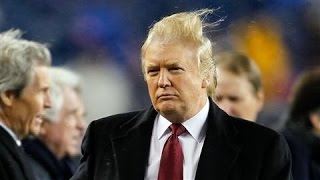 Donald Trump Presidential Hair Apparent [upl. by Fernald]