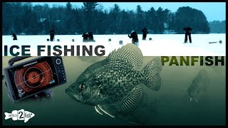 Ice Fishing Panfish  Find Crappies and Bluegills with Ease [upl. by Larok]