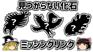 【ゆっくり解説】見つかるはずなのに見つからない化石－ミッシングリンク－ [upl. by Pinkham]