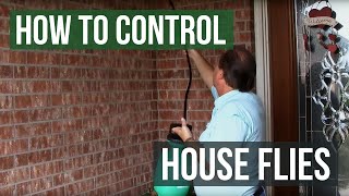 How to Control and Eliminate House Flies [upl. by Eeraj]