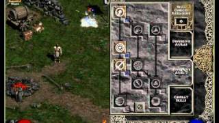 Diablo II  Lord of Destruction  Hammerdin Build Patch 113 [upl. by Atinid]