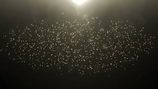 Glowing Golden Dust Particles Background Looped Animation  Free HD Version Footage [upl. by Ahsiela]