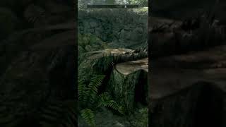 Unique Detail You Might Have Missed In Skyrim [upl. by Andrews]