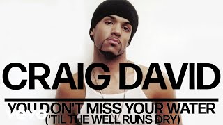 Craig David  You Dont Miss Your Water Til the Well Runs Dry Official Audio [upl. by Kerianne]