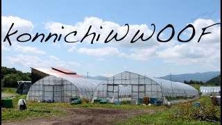 konnichiWWOOF  WWOOFing in Japan [upl. by Flory]