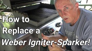 How to Replace Weber IgniterSparker [upl. by Pani]