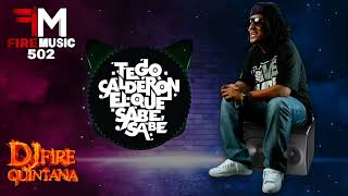 Tego Calderon Mix Reggaeton Old School Lo Mejor 🔥 Dj Fire Quintana [upl. by Niu]