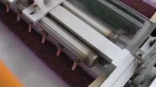 PN20 High Speed Vegetable Seedling Machine [upl. by Anam]