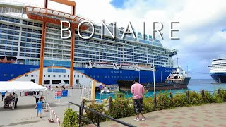 Walking Around Bonaire Cruise Port [upl. by Aoht]