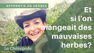 Cette mauvaise herbe des potagers est un légume [upl. by Eronaele]